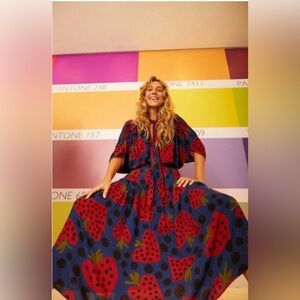 Preowned Farm Rio Drop Waist Heartberry Dress Size XL